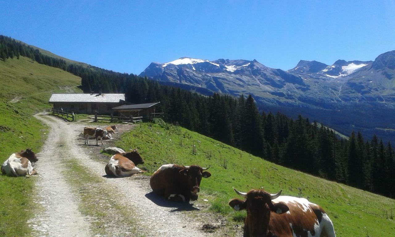 Pension Sonnblickhof Rauris Luaran gambar