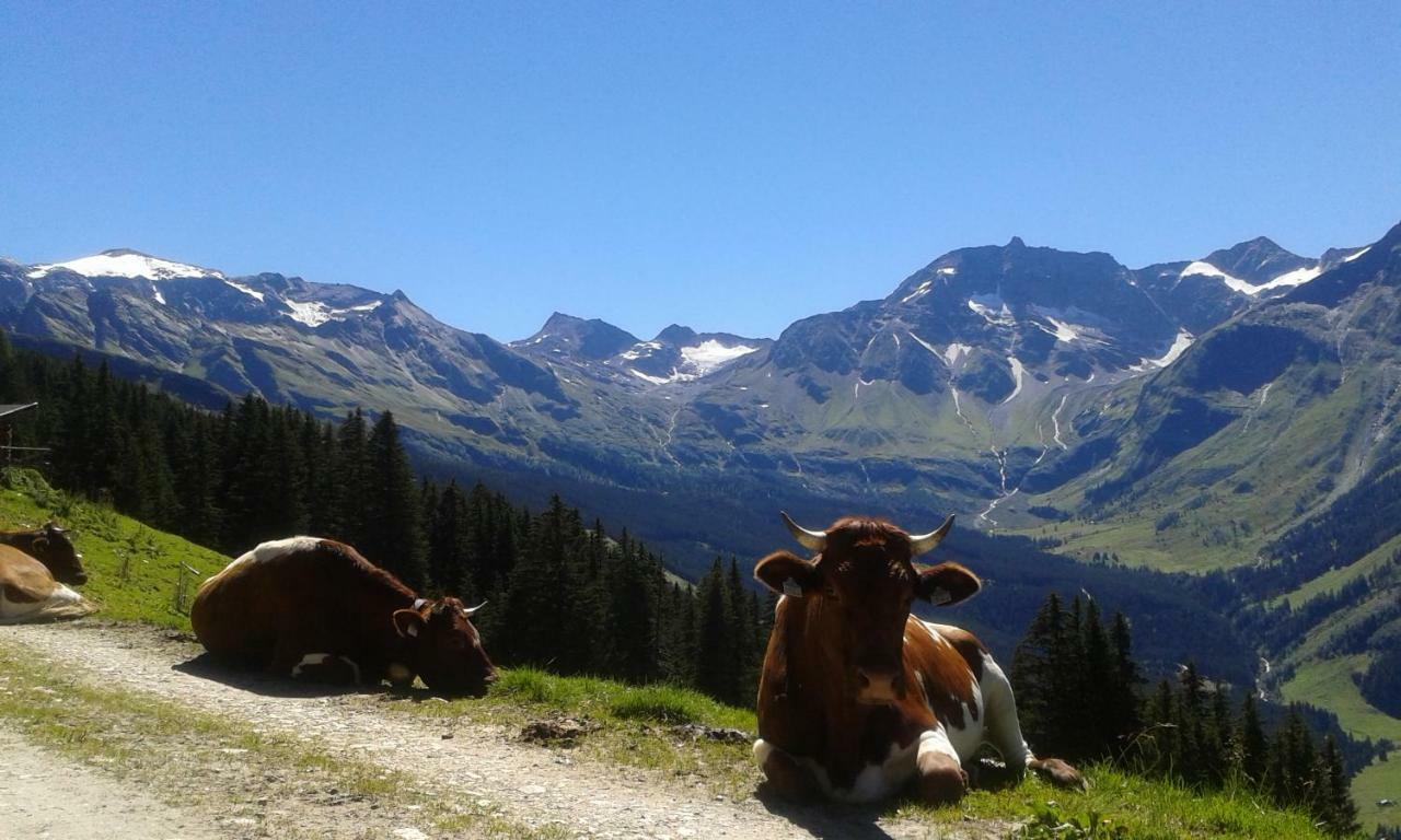 Pension Sonnblickhof Rauris Luaran gambar